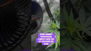 Spider Farmer&reg; 90X90X180cm Complete Grow Tent Kit SF2000PRO EVO 200W  #crazybud #420 #growled