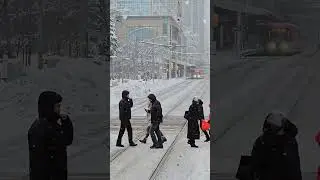 M&ugrave;a đ&ocirc;ng ở Calgary