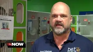Ponce's Law intended to give harsher punishments to felony animal abusers