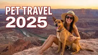 11 Most Dog Friendly National Parks - National Park Paws