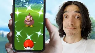 We Went From Deino to THIS?! Starly Community Day Info in Pok&eacute;mon GO