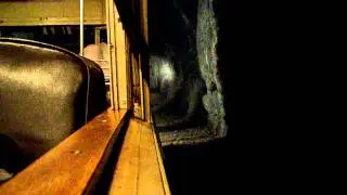 Willamette Shore Trolley in Elk Rock Tunnel