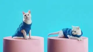 Wish TV Commercial, Amazing Things Fashion   iSpot tv