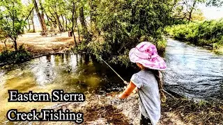 Berkley Power Eggs For Trout | Eastern Sierra Creek Fishing | Owens Valley, CA