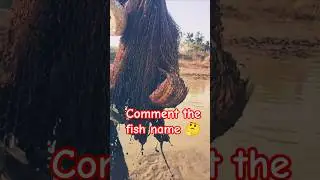 fishing in traditional way #fishing #fish #shorts #viral #vlog