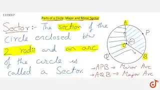 Minor and major sector