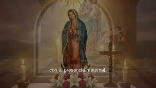 Oración de los novios a la Virgen - Oración Católica con Meditación