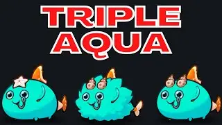 Rank 1 | Challenger 2095 Stars | Triple Aqua | Axie Infinity Gameplay Origin V3