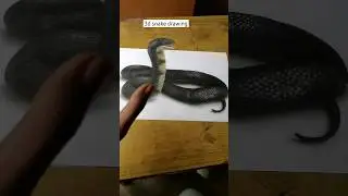 3d snake drawing 😱 | How to draw 3d snake #shorts #3d #drawing