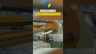 Biodegradable Corn Starch Sheet Extrusion Line for food takeout packaging.#cornstarch #sheetextruder