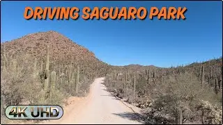 Saguaro National Park West in 4K | Scenic