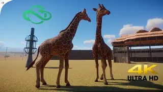 Reticulated Giraffe Planet Zoo Gameplay (4K HD 60FPS)