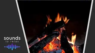 Campfire with Cricket Night Ambienceㅣ3 HoursㅣFire Videoㅣsounds to relax, sleep, study and insomnia