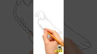 crow drawing easy #shorts