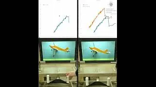 Real Time Measurement of Lift Coefficient in a Small Airplane (with and without flaps)