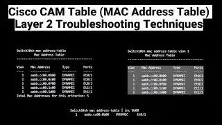 Cisco CAM Table or MAC Address Table   Layer 2 Troubleshooting Techniques