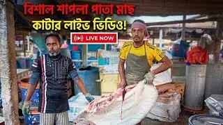 Huge Stingray Fish Cutting Scene! 😱 | Huge Stingray Fish Cutting 😱🦈🐟 #fish #fishing