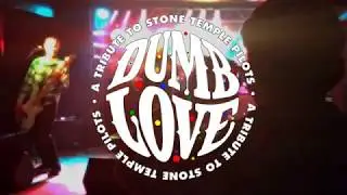 Dumb Love - Bleachers Bar Show Highlights