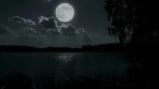 🌙 Mystical Night Rain | Moonlight Reflections & Forest Silhouettes (6 Hours)