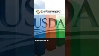 The Philippines To Drive Global Rice Consumption Next Year: USDA