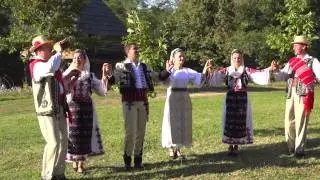 Teodora Pană-Asta e nuntă cu fală(Official Video) NOU
