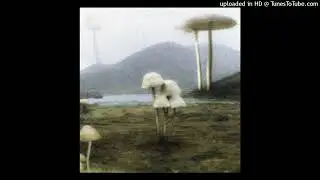 deftones + nu metal heavy shoegaze type beat - crisis