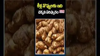 కీళ్ల నొప్పులకు ఇది చక్కని పరిష్కారం | Best Tips For Knee Pain | CVR Health News