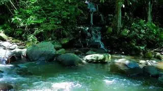 3 HOURS ASMR Serene Waterfall: Tropical Forest River Sounds for Deep Sleep,