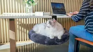 DeskPurrch - The Cozy Under-Desk Cat Bed