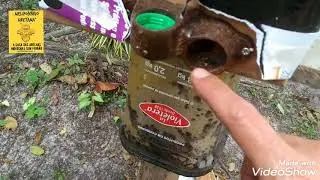 Controle de mosca forideo em abelhas sem ferr&atilde;o