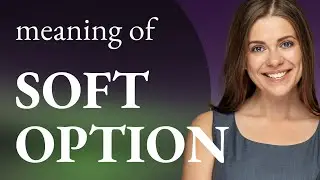 Soft option &mdash; what is SOFT OPTION definition