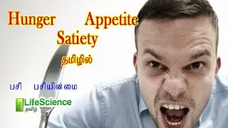 FOOD INTAKE  HUNGER APPETITE AND SATIETY CONTROL IN TAMIL