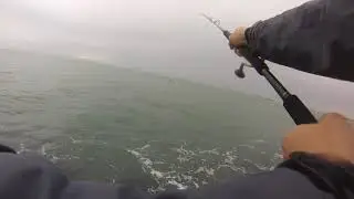 peche au vif