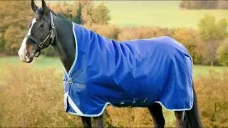 Horse Rugs，Expert OEM Horse Rug Manufacturer，Trusted Since 2009