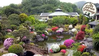 Hotel Sunvalley Izu-Nagaoka Honkan | Izu, Japan | Hotel Review 🏨