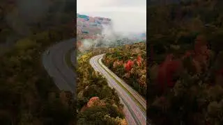 Driving through Vermont in fall season is like a dream ! #shorts #fall #usa #nature