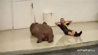 YOU NEED TO SEE - Funny Animals Working Out Compilation