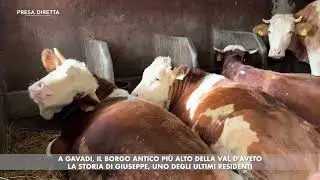 PRESA DIRETTA A GAVADI, IL BORGO ANTICO PIÙ ALTO DELLA VAL D'AVETO