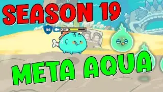SEASON 19| OFF SEASON| MY NEW META AQUA