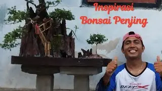 Bonsai Penjing Inspirasi,,,,Ishisuki Tebing Di Pinggir Laut.