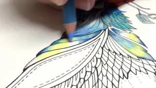 ASMR Adult Coloring - Enchanted Forest - Blue Bird #6 - Blended pencil Prismacolor Premier