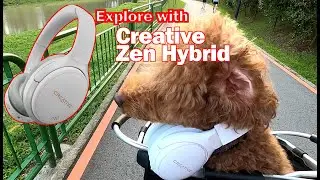 Вместе с Creative Zen Hybrid и My Dog мы проводим тестирование качества и обзор продукции.