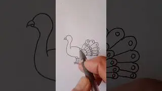 A Cartoon Peacock  # Shorts # Beautiful Bird # Cartoon # Youtube Video