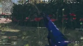 Team Wipe