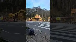 The Secret of Nuwara Eliya: Where Tea, Tragedy & Temptation Meet
