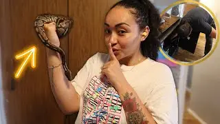 i cant believe crystal lost the snake in the house