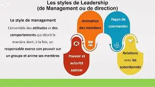 Capsule N&deg;5 Les Styles de Management ou de Leadership