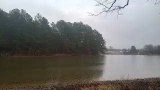 WOW BIG BLUE GILL IN PINE LAKE