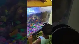 #isabel#rachel #love #acquarium #tomandjerry #free #time