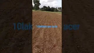 low price land near Bagepalli